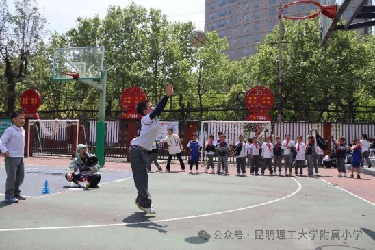哪里能找到分卫的技术分析视频_1